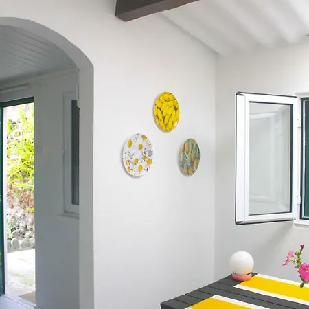 Casa Amarela Tatil Evi *