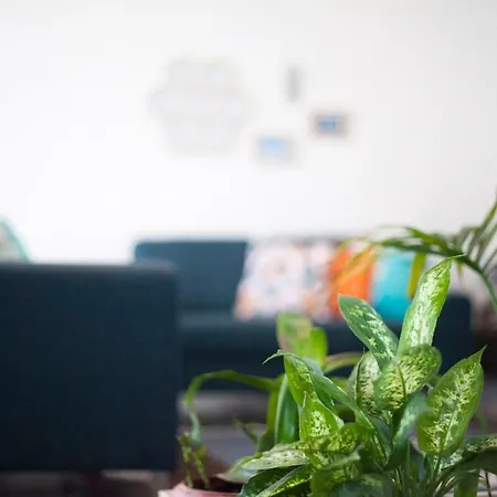 Tatil Evi Casa Amarela